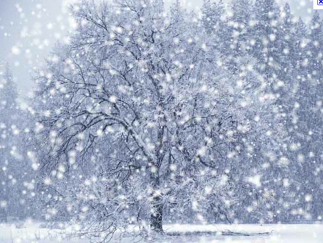 Watching Snow Falling — a destresser